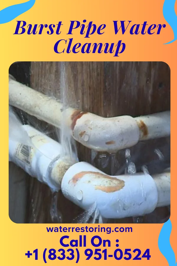 Burst Pipe Water Cleanup in Leland, MS