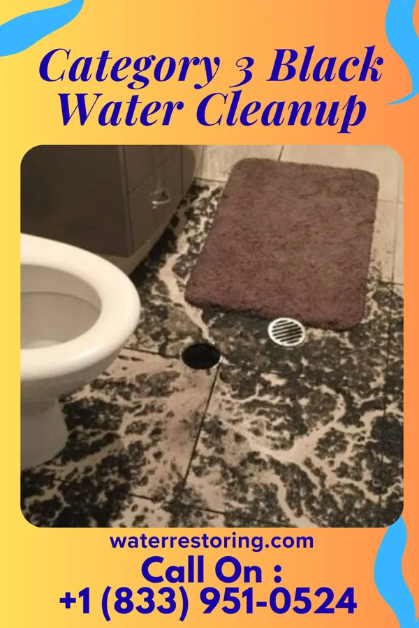 Category 3 Black Water Cleanup in Leland, MS